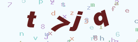 验证码