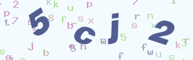验证码