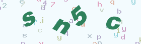 验证码