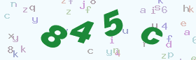 验证码