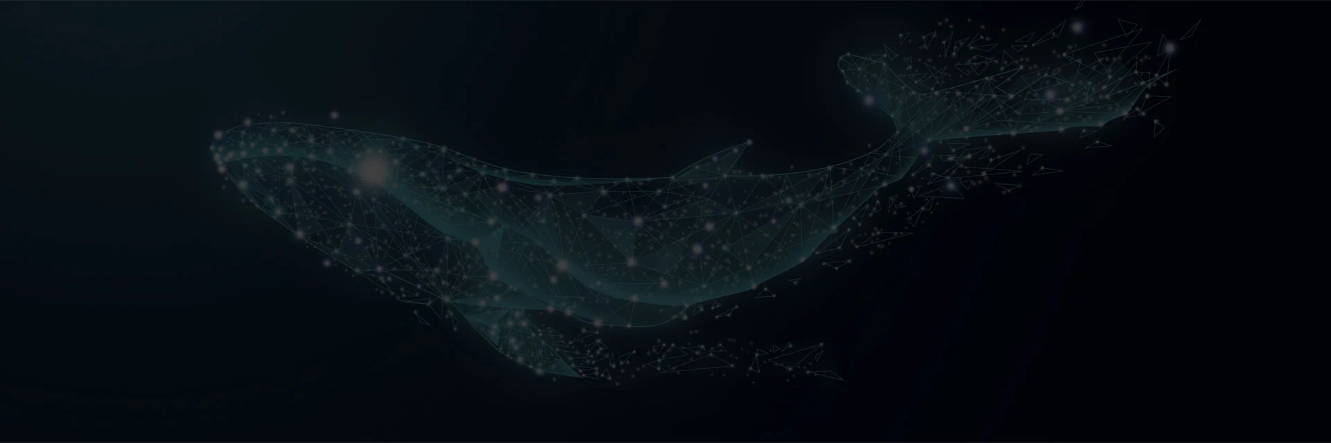 做网站公司