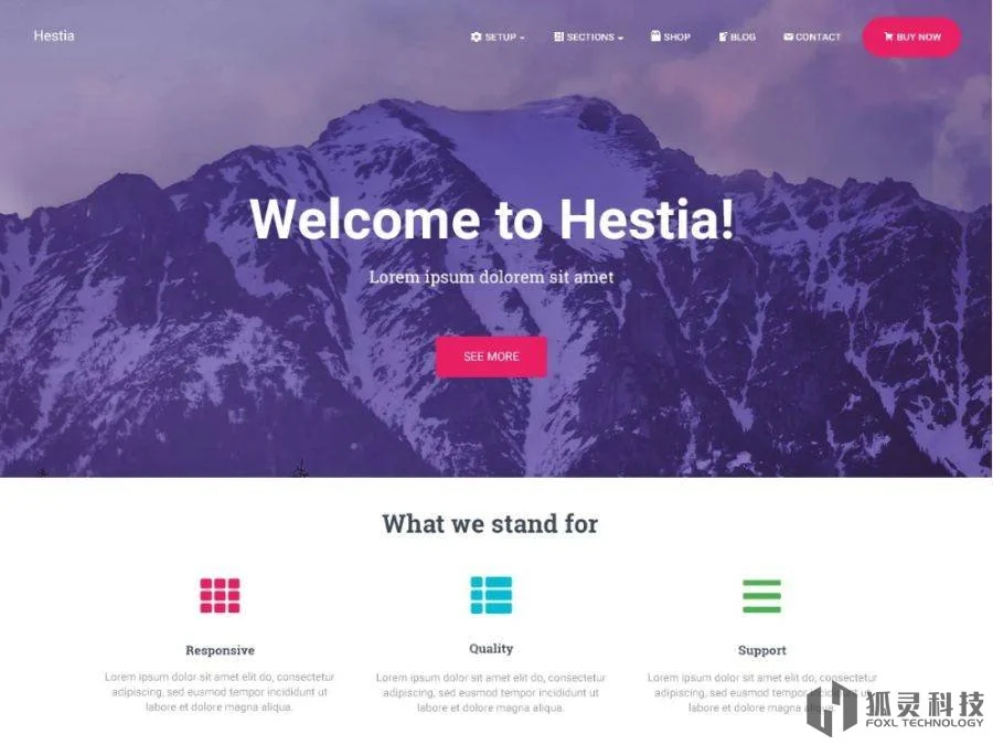 Hestia主题 Hestia主题