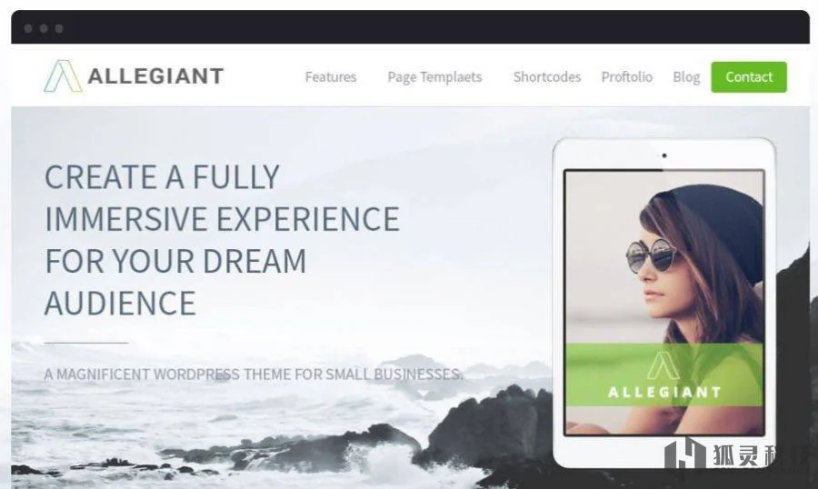 Allegiant主题 Allegiant主题